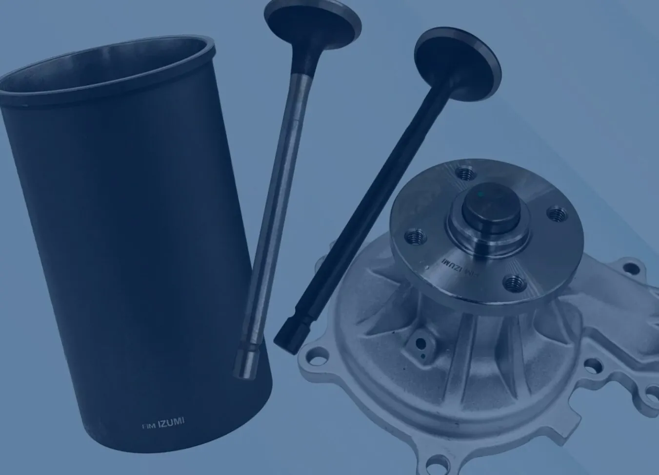 Case head bg image